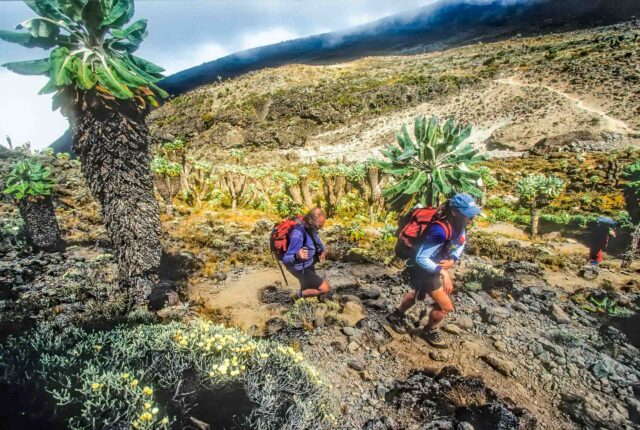 Two people hiking in Shira Plateau.