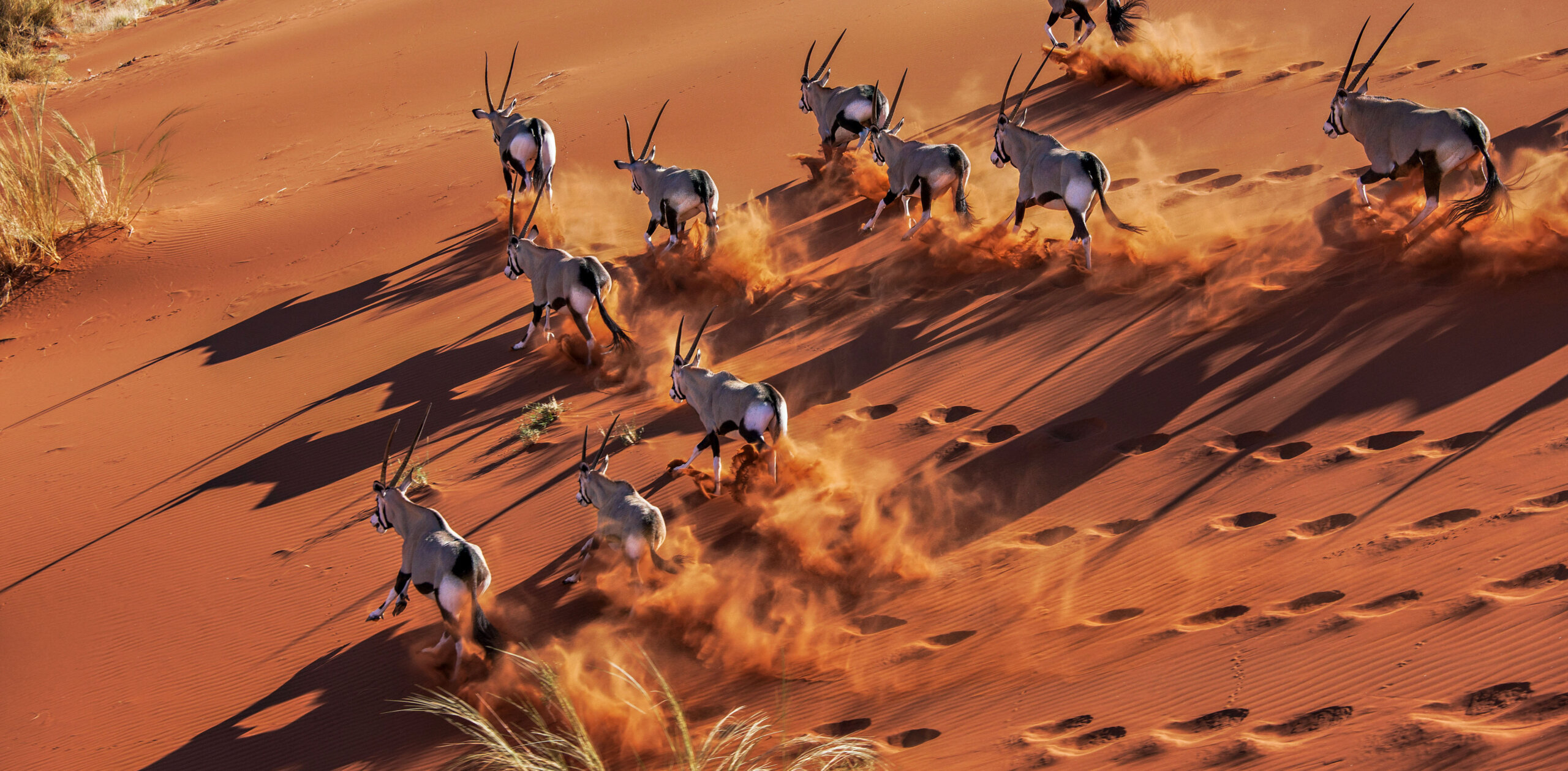 Namibia - Endless Deserts and Exotic Animals