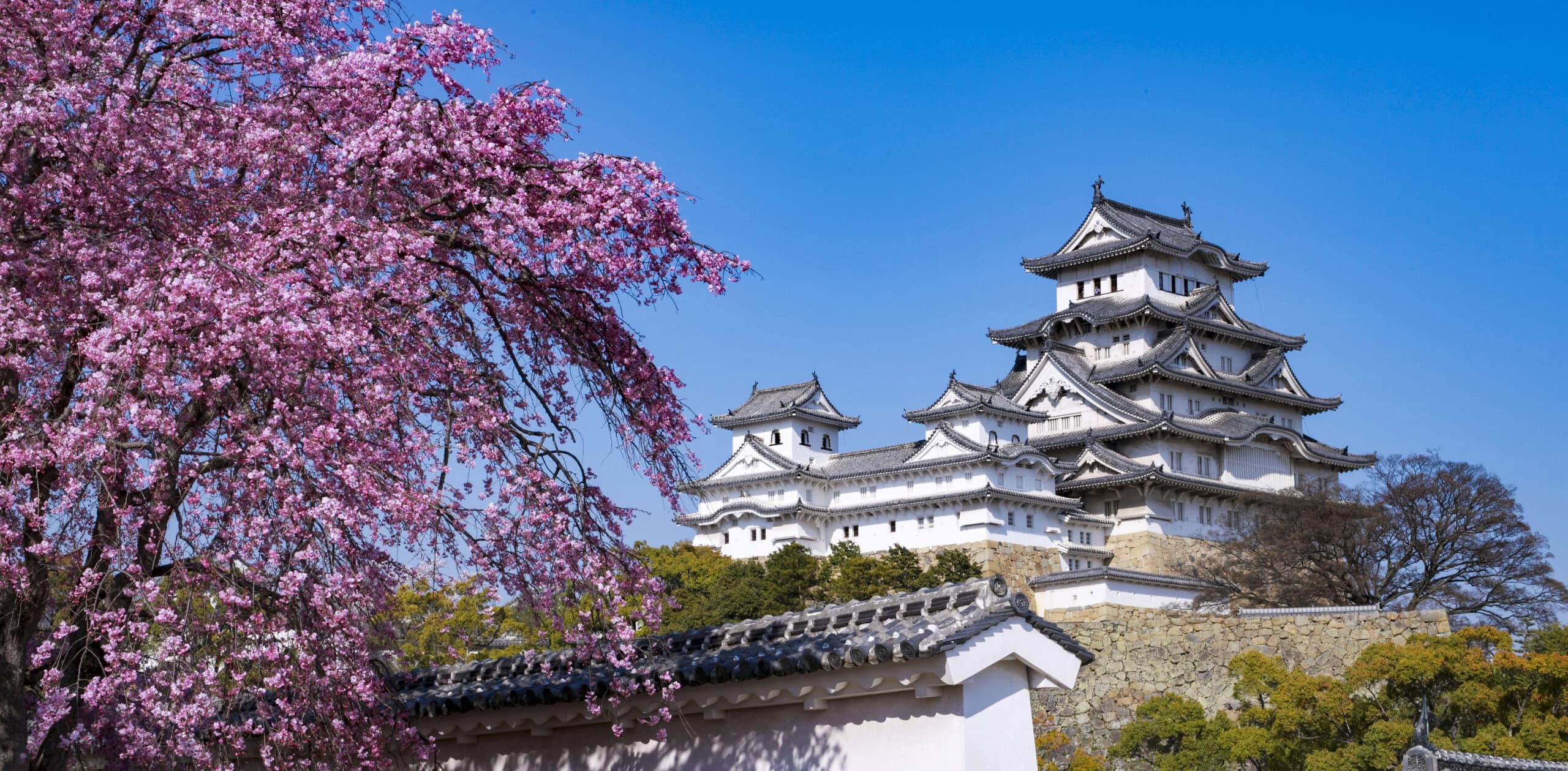 Japan: Temples, Teahouses & Cherry Blossom Festival Tour