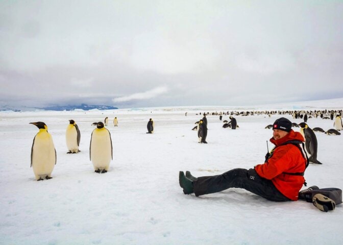 antarctica cruise emperor penguins