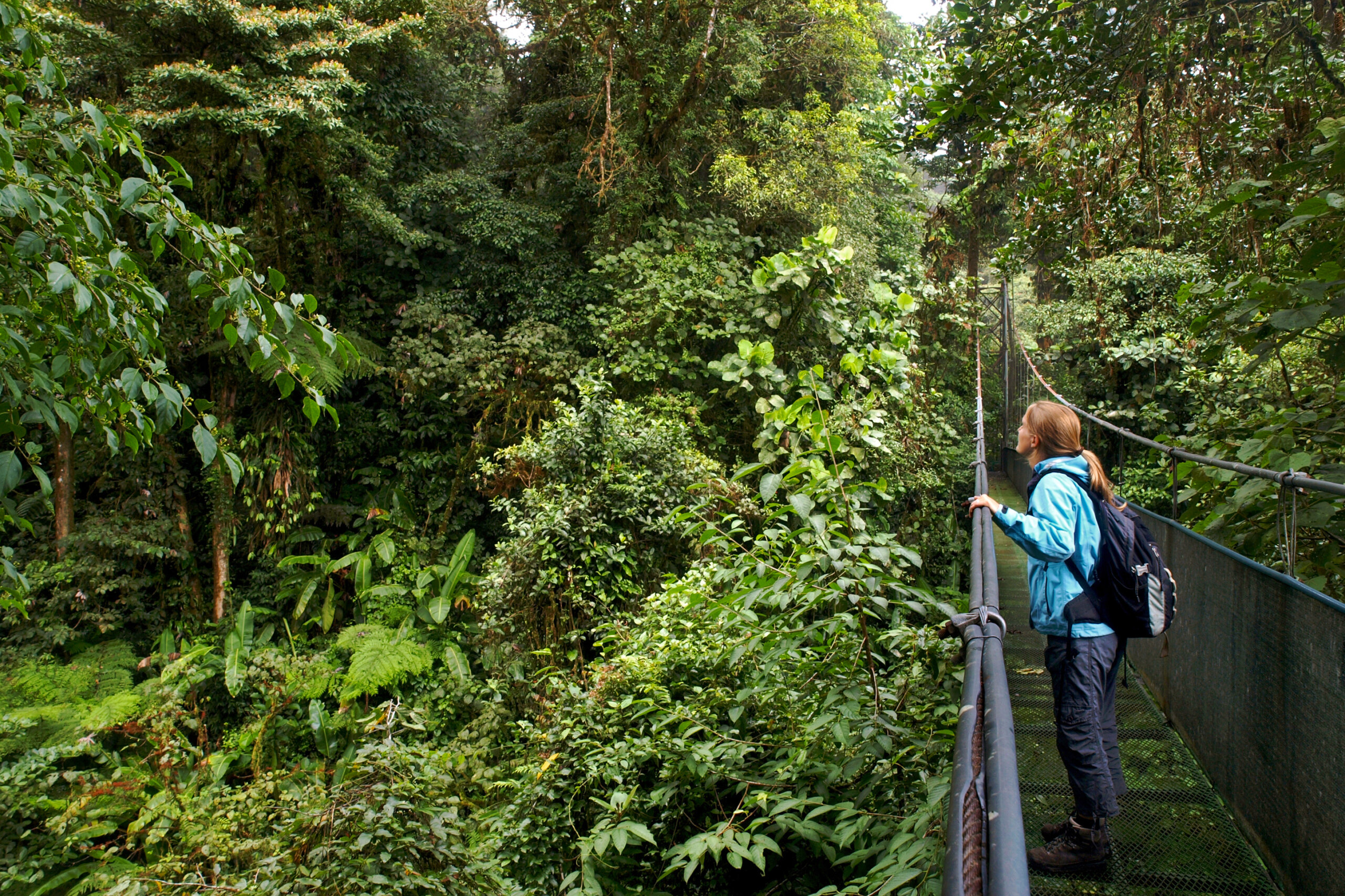 Costa Rica Wildlife Tour | Monteverde, Arenal & Tortuguero