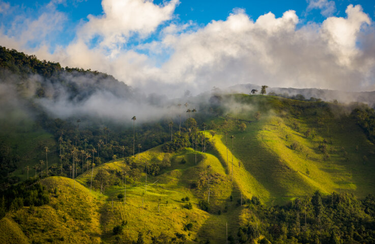 river cruises in colombia south america