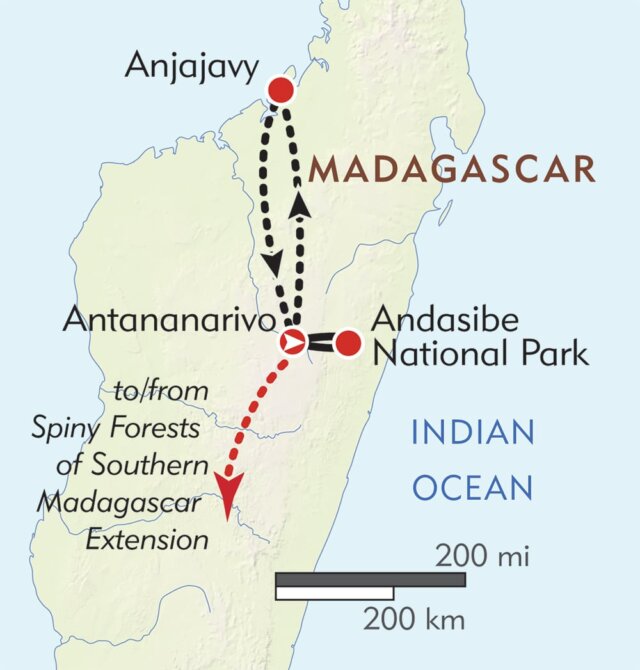 wildlife tours madagascar