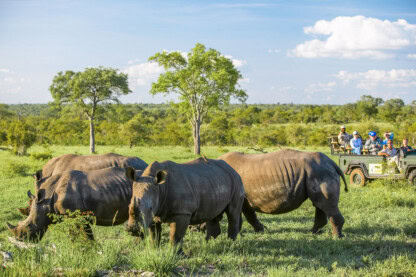 safari destinations botswana and zimbabwe