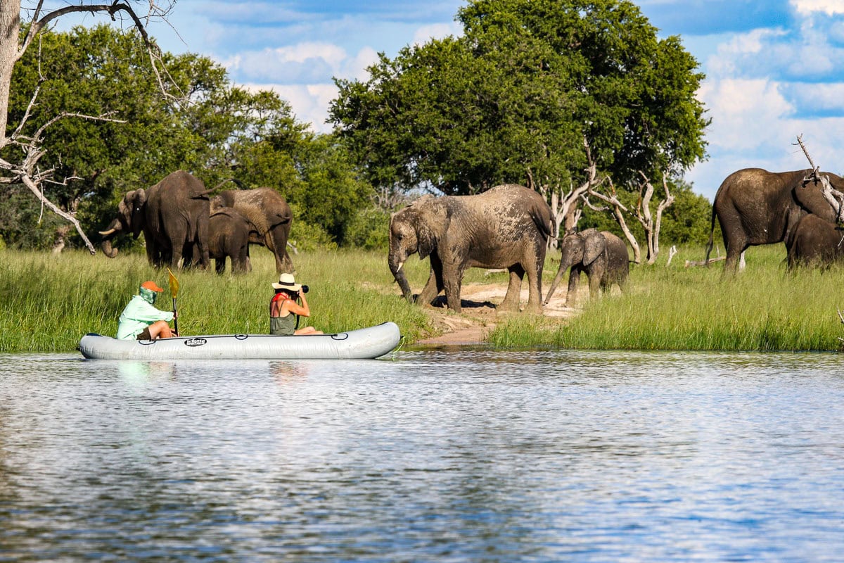 walking safari in zambia