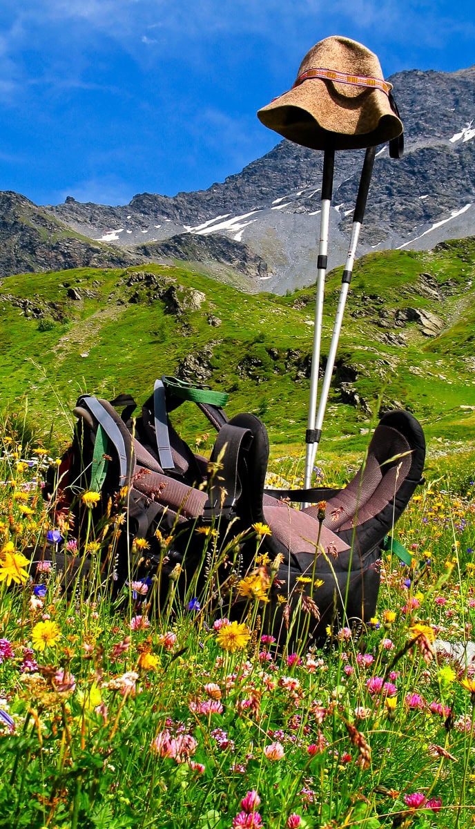 Backpacks, trekking poles, and a hat are placed on a field with colorful wildflowers, perfect for your next blog post. Snow-capped mountains and a blue sky provide the stunning backdrop needed to enhance your SEO keywords.