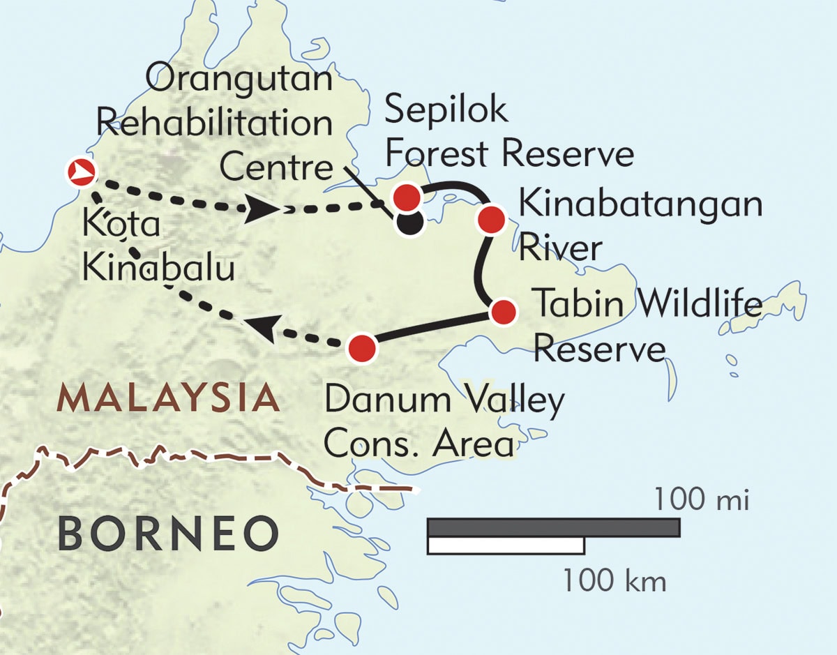 borneo orangutan tour malaysia